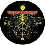 yellow dragonfly